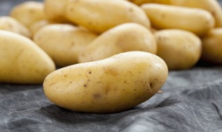 新土豆如何保存方法（新土豆如何保存方法最好）