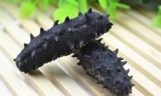 如何清洗干海参 干海参怎么洗才干净