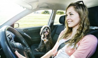 汽车购置税怎么计算（汽车购置税计算）