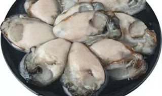 如何清洗生蚝肉（如何清洗生蚝肉肉）
