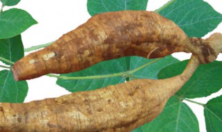 葛根粉防虫方法 葛根粉防虫方法视频