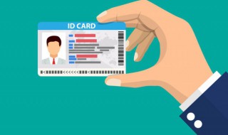 怎么查驾驶证信息 12123怎么查驾驶证信息