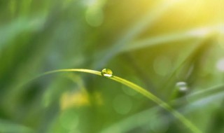 白露节气是几月份（什么时候是白露节气）