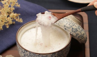 雪燕是什么东西 雪燕是什么东西 有什么害处
