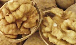 纸皮核桃如何保存（纸皮核桃怎么保存）