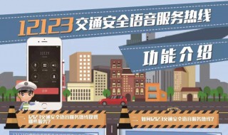 12123服务异常怎么办（12123提示服务异常是什么情况）