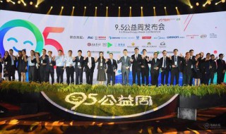 阿里巴巴95公益周是什么（阿里95公益周活动）