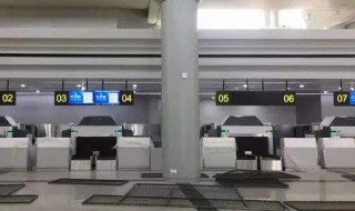 值机是什么意思?（办理值机是什么意思?）