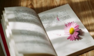 文艺有韵味的句子（文艺而有韵味的句子）