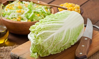 自己种白菜的方法（怎么种白菜方法）