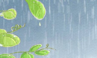 下雨防雨怎么解决（下雨天做好防雨工作）
