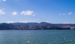昆明哪些地方好玩（昆明哪些地方好玩风景区儿童）