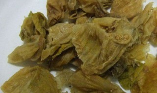 鸡内金片的功效与作用（鸡内金片的功效与作用和禁忌）