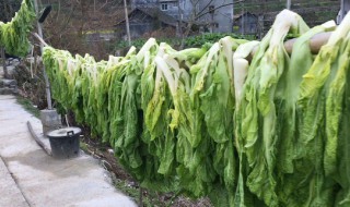 大量蔬菜要怎么保存（大量蔬菜要怎么保存呢）