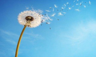 教师节的句子感谢老师的（教师节的句子感谢老师的话）