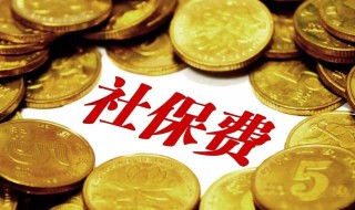 社保可以退吗 社保可以退吗能退多少钱