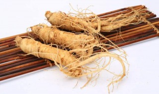 西洋参和人参的区别（藏红花对男人性功能有帮助吗）