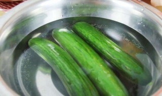 冰箱怎么保存青瓜（冰箱怎么保存青瓜不坏）
