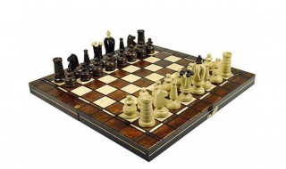 国际象棋怎么玩新手入门（国际象棋怎么玩?）