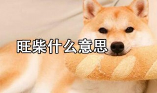 旺柴是什么意思 女孩子发旺柴是什么意思