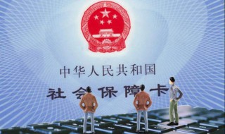 个人灵活就业社保怎么缴纳（个人灵活就业社保怎么缴纳费用）