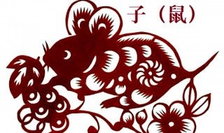 本命年要注意什么属鼠（本命年老鼠要注意什么）