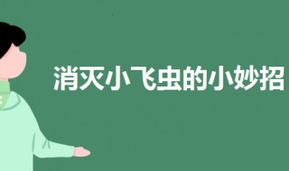 家里有小飞虫怎么消灭（家里小飞虫怎么消灭最简单的方法）