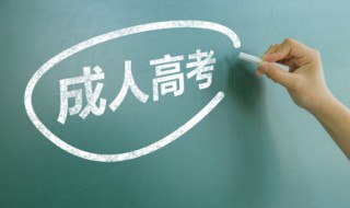 成考有什么专业（成考大专有什么专业）