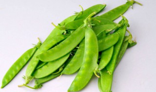 荷兰豆长大了就叫豌豆吗（荷兰豆会长成豌豆吗）