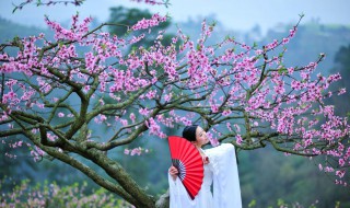 沐浴桃花是什么意思（沐浴桃花是什么意思是什么）