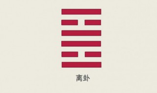 离卦代表什么（离卦代表什么行业）