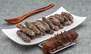 怎么泡干海参（怎么泡干海参好吃）