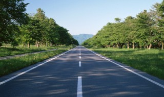 y是什么道路编号（y是什么道路编号天然汽字母代号）