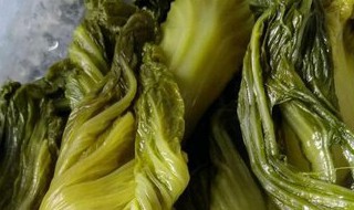 黄菜和碱蓬的区别 碱蓬菜是什么菜