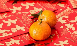年桔过完年后怎么处理 年桔过完年后怎么处理视频