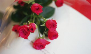蔷薇叶子干枯发卷怎么回事 蔷薇叶子卷曲枯萎