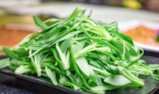 面条菜又叫什么名字（面条菜还叫啥名字）