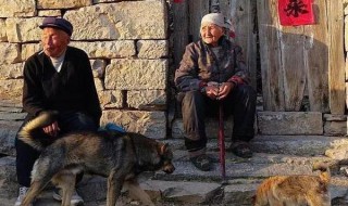 农村怎么养老 农村怎么养老,儿女在城市