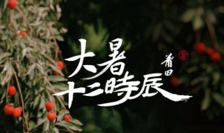 2021大暑是几月几日 2021大暑是几月几日到几月几日