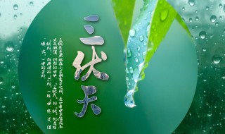 2021年头伏是哪天?（2021年头伏是哪天出伏）