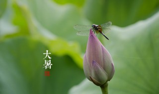 大暑和小暑相差多少天（大暑与小暑相差多少天）