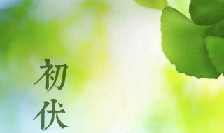 2021年初伏是哪一天（2021年初伏是哪一天开始）