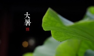 大暑要注意什么（大暑注意什么吃什么）
