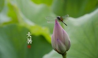 大暑过后还热吗（大暑过后还热吗?还要热多久）