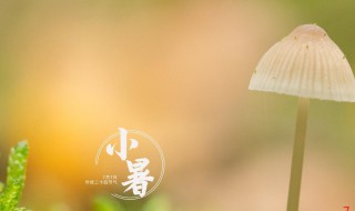 2021小暑是什么时间 2021小暑具体时间