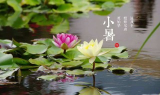 2021小暑节气特点介绍（2021小暑节气特点介绍视频）