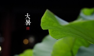小暑后面是什么节气 小暑后面的节气是什么