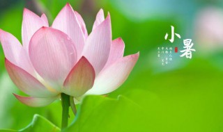 2021年小暑是阳历几月几日 2021年的小暑是几月几日
