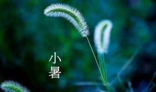 2021年小暑是什么时候 2021年小暑是什么时候?