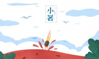 关于小暑谚语大全（关于小暑谚语大全有哪些）